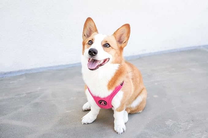 Gooby Escape Free Sport Harness - Pink, Small - No Choke Step-in Patented Neoprene Dog Harness with Four-Point Adjustment for Small to Medium Dogs