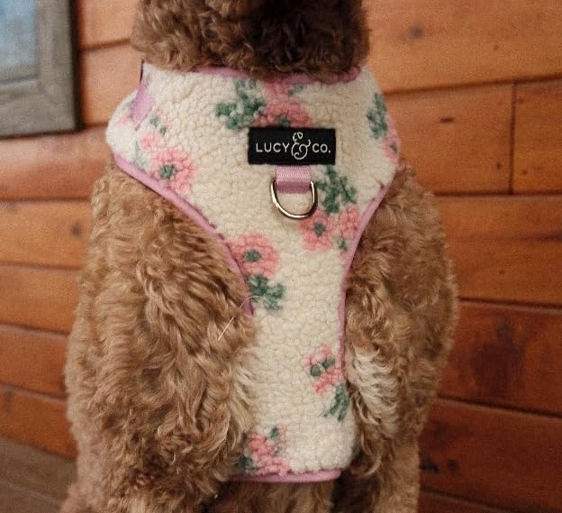 Lucy & Co. The Bolt of Lightning No-Pull Dog Harness for Dogs – Vest to Stop Pulling & Walk Easy – Comfortable Leash Training Product w/Adjustable Chest & Neck Straps - Cream Pink Floral Teddy - Large