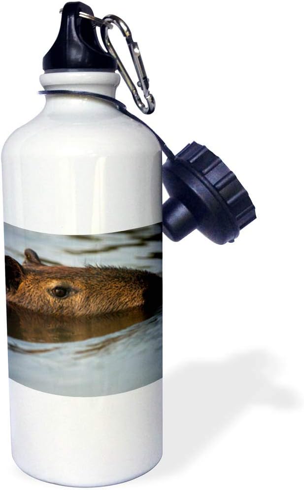 3dRose "Capybara Northern Pantanal Brazil Sports" Water Bottle, 21 oz, Natural