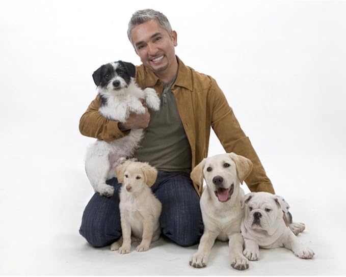 Cesar Millan Slip Lead Leash™ - 2-in-1 Slip Collar Dog Training Lead & Collar | Heavy Duty Durable Weatherproof Rope Leash, No Pull Training | Length 4ft Diameter 4/10”(Regular, Red/Olive)