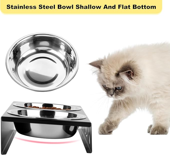 Elevated Cat Bowls 5° Tilted Raised Pet Food Water Bowl Set, 2 Thick Stainless Steel 13.5 oz Cat Dishes Feeder Shallow Wide Cute Whisker Friendly for Indoor Kitten, Small Dogs, Puppy,Black