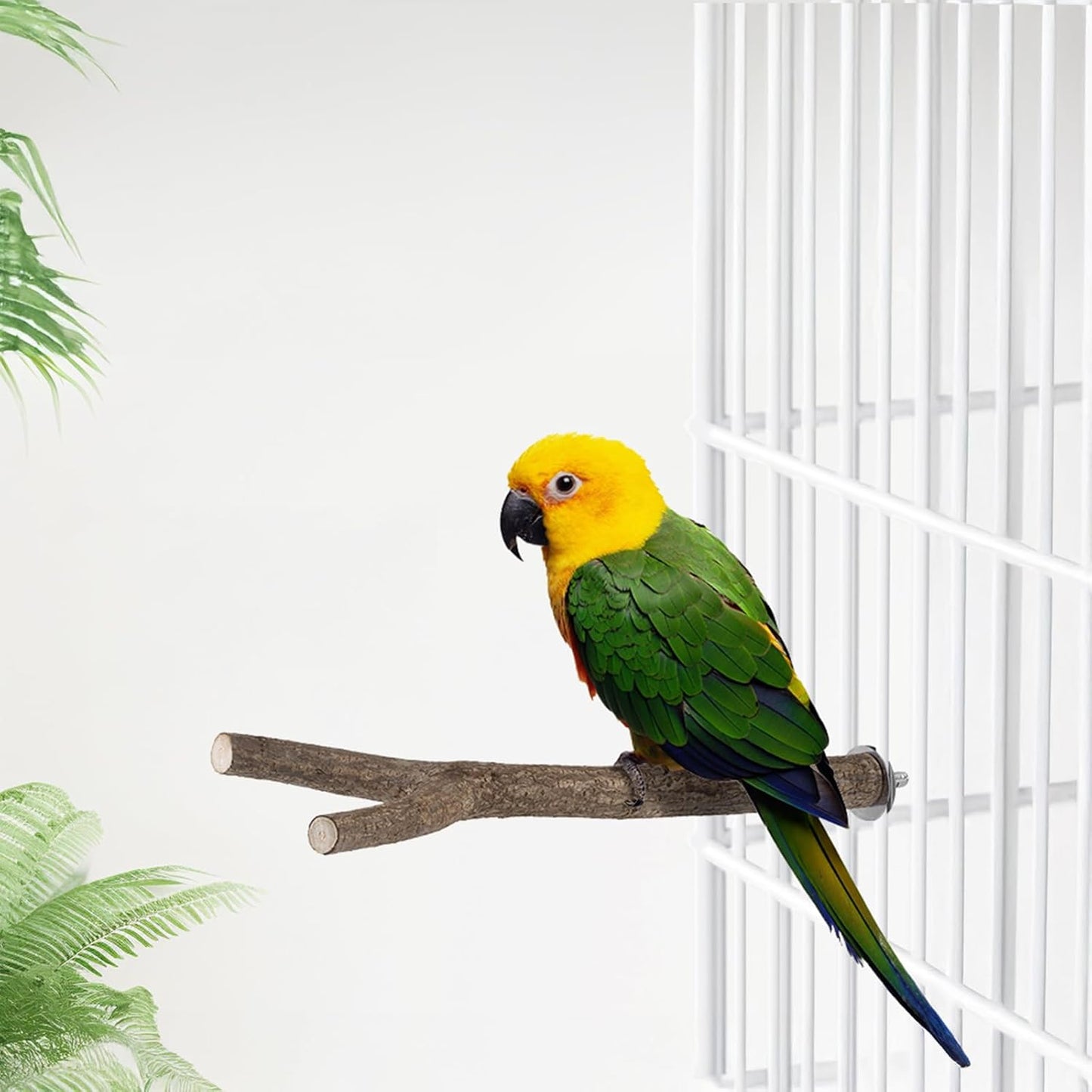 Niteangel Natural Wooden Perches for Bird Cages - Ideal for Cockatiels, Parakeets, Finches & Other Caged Birds (Natural Bark, 2 Pack)