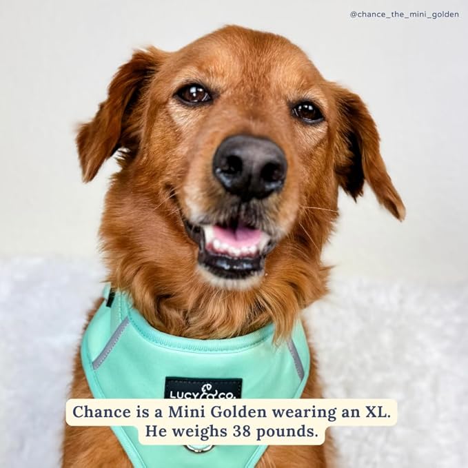 Lucy & Co. The Spring Green No-Pull Dog Harness - Size Medium - Vest to Stop Pulling & Walk Easy - Comfortable Leash Training Product w/Adjustable Chest & Neck Straps