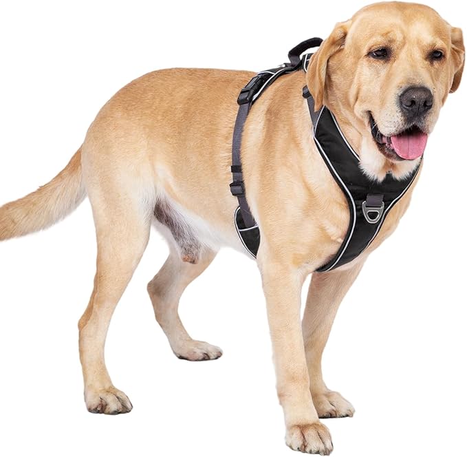 No Pull Dog Harness with 2 Leash Clips, Reflective Vest, Adjustable and Padded, Easy Walk Front/Back Clips (Black, X-Small)