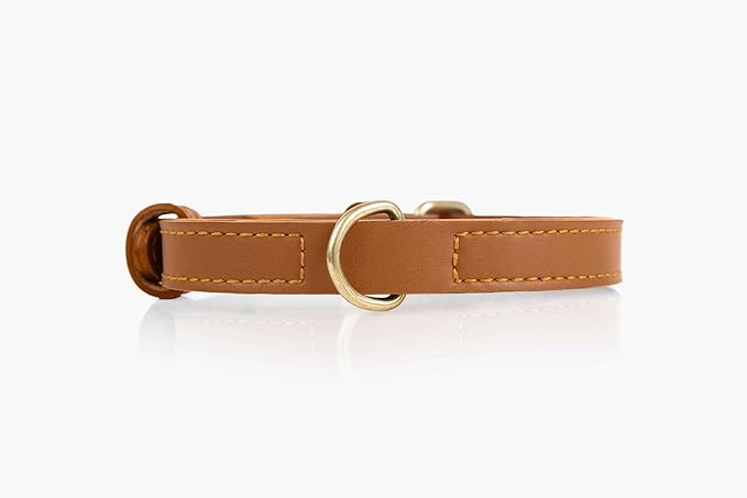 Cactus Leather Dog Collar - Eco-Friendly, Stylish, Easy-to-Clean Pet Collar with Gold Hardware, D-Rings for Leash & ID Tag (Medium, Caramel)