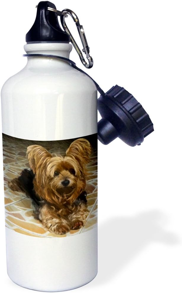 3dRose cute Yorkshire terrier dog with a drawing effect-Sports Water Bottle, 21oz , 21 oz, Multicolor