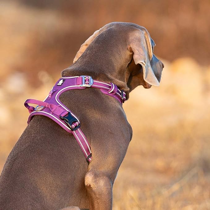 TRUE LOVE Dog Harness No Pull Nylon Reflective Pet Harness Adjustable Comfortable Control Step-in Brilliant Colors Truelove TLH56512 XS