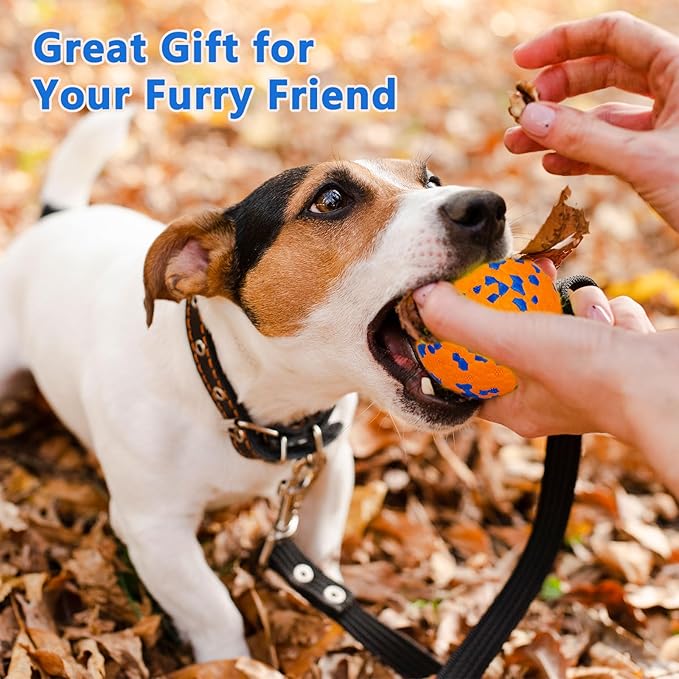 4 Pack Super Bouncy Dog Balls, Fun Indestructible Tennis Balls for Aggressive Chewers, Durable Floating Fetch Toys for Small Dogs with Lifetime Replacement