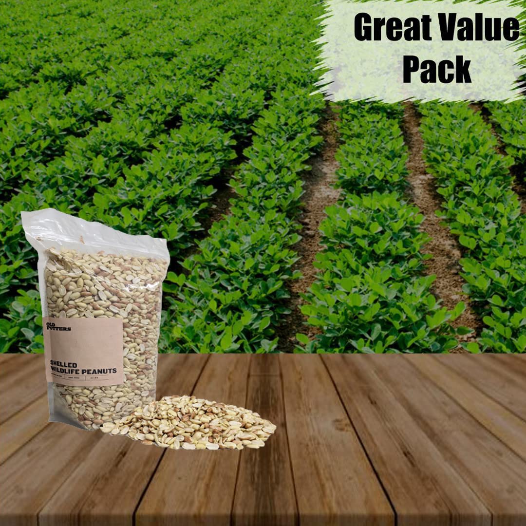 Old Potters Wildlife Shelled Peanuts, 10 lbs for Birds, Squirrels, and Wildlife. USA Grown Non-GMO, Organic Small Farm, Raw Shelled Peanuts. Wildlife Grade.