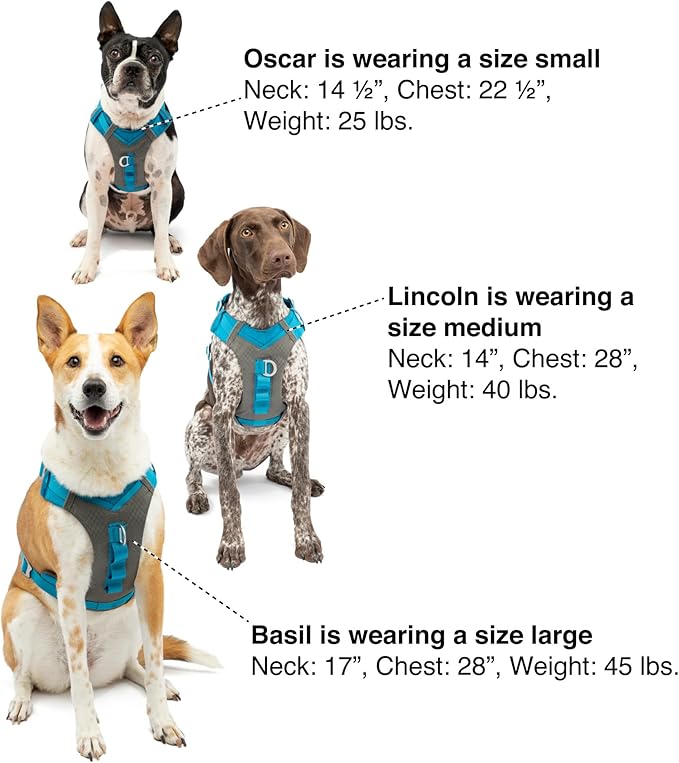 Kurgo Journey Air Dog Harness - Secure Fit for Active Dogs - Padded Chest - Lightweight Ripstop Fabric - Breathable Mesh - Reflective Trim - Back Assist Handle - Blue - Large