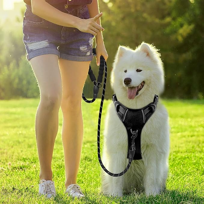 BARKBAY Dog Harness No Pull with ID Tag Pocket - Heavy Duty, Reflective, Easy Control for Large Dogs(Black,L)