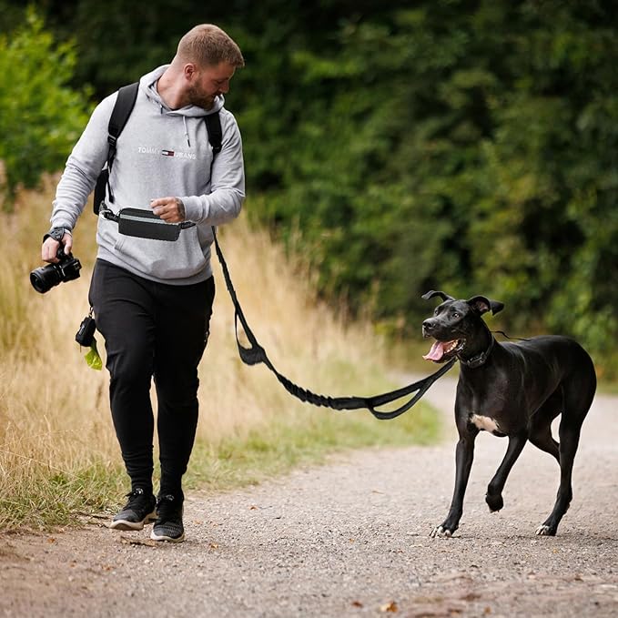 Hands Free Dog Leash with Zipper Pouch, Waist Dog Running Leash with Adjustable Waist Belt and Dual Handle, Reflective Bungee Hands Free Leash for Medium to Large Dogs (Black)