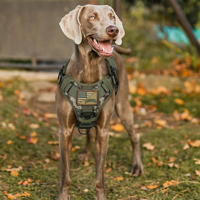 rabbitgoo Tactical Dog Harness for Large, Heavy Duty Pet Harness with Handle, No-Pull Service Vest Large Breed, Adjustable Military Dog Vest for Training Hunting Walking, Green Camo, L