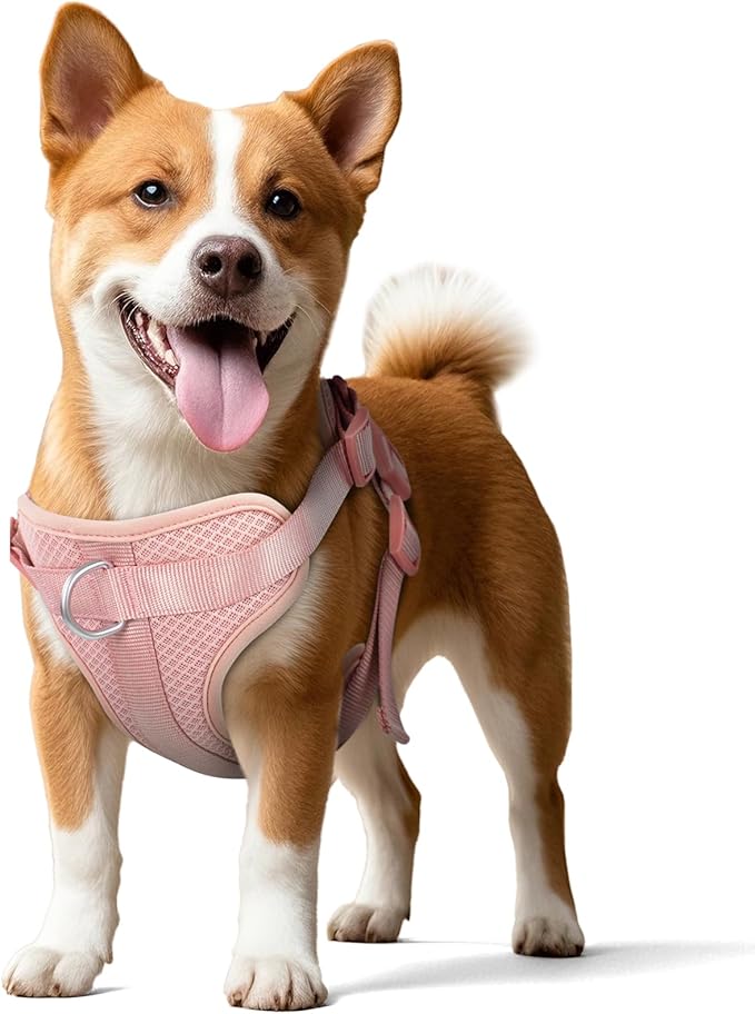 Wisedog Mesh Breathable Dog Harness: No Pull Harness with 3 Fast-Release Buckles Adjustable for Walking & Training for Small Medium Large Dogs (Pink, XS: Neck=10"-14"/Chest=11"-19")