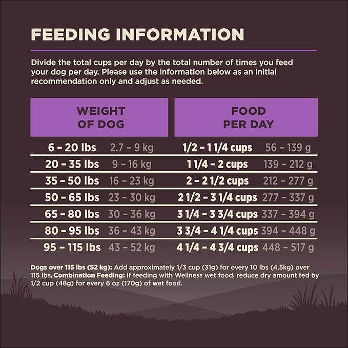 Wellness CORE Senior Dry Dog Food, Grain-Free, High Protein, Natural, Age Advantage Turkey & Chicken Recipe, (24-Pound Bag)