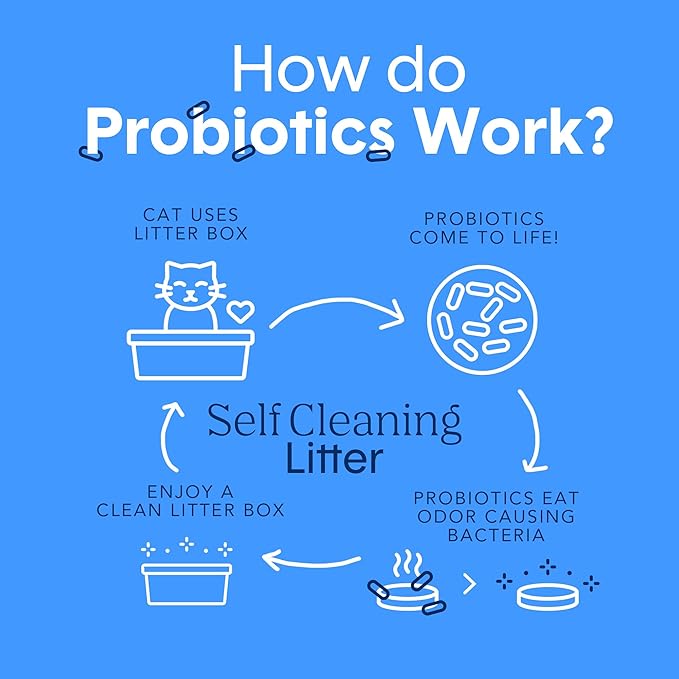 Boxie Probiotic Cat Litter, 30 Day Odor Control, Clumping Clay Kitty Litter, Odor Eliminating Probiotics, Dust-Free, No Fragrances No Fillers, 28 lb