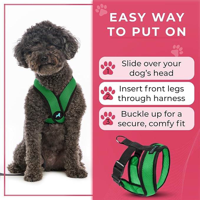 Gooby Comfort X Head in Harness - Hunter Green, Small - No Pull Dog Harness with Patented Choke-Free X Frame for Small to Medium Dogs Indoor/Outdoor Use