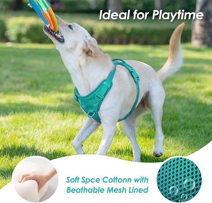 No Pull Dog Harness, Puppy Vest with Front Clip for Small Medium Large Sized Dog(MARRS Green,XL)