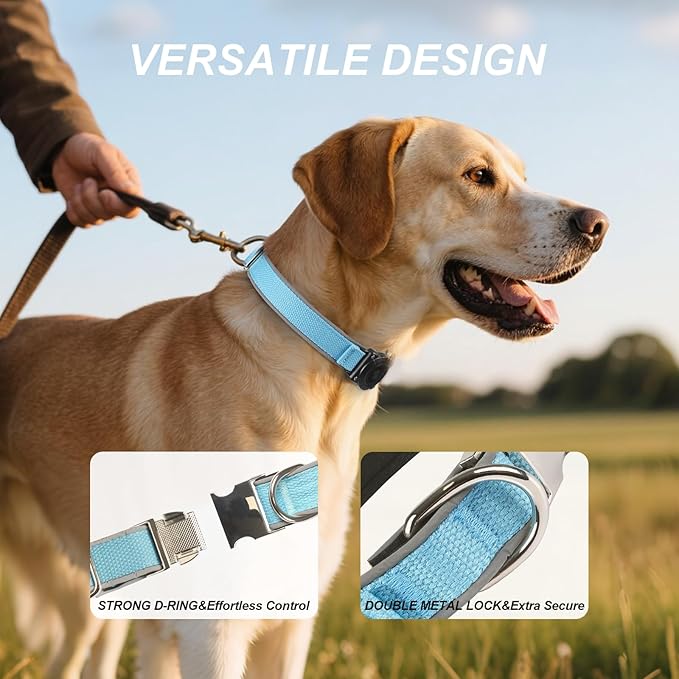 Waterproof Airtag Dog Collar - Nylon Collar with Durable Airtag Holder, Reflective&Anti-Lost with Safety Metal Buckle, Soft Padded Adjustable for Small Medium Large Dogs Blue S