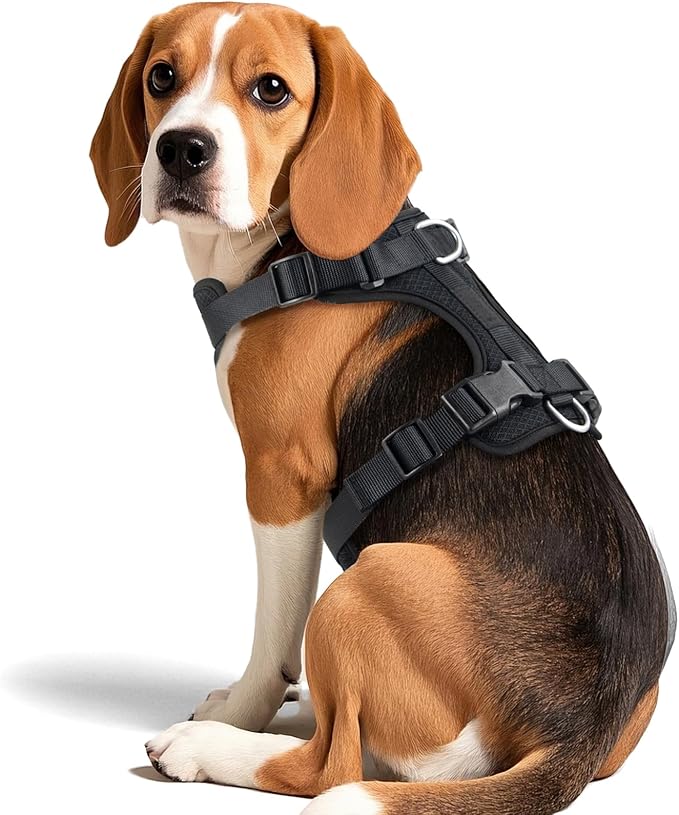 Wisedog Mesh Breathable Dog Harness: No Pull Harness with 3 Fast-Release Buckles Adjustable for Walking & Training for Small Medium Large Dogs (Black, S: Neck=14"-19"/Chest=13"-24")