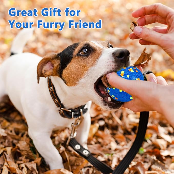 4 Pack Super Bouncy Dog Balls, Fun Indestructible Tennis Balls for Aggressive Chewers, Durable Floating Fetch Toys for Small Dogs with Lifetime Replacement