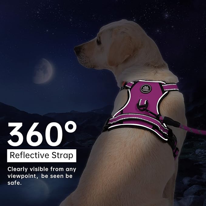 IVY&LANE No Pull Dog Harness for Large Dogs, Dog Vest Harness with Leash, Safety Belt and Storage Strap, Fully Adjustable Harness, 360° Reflective Strip, Soft Handle (Fuchsia Pink, L)