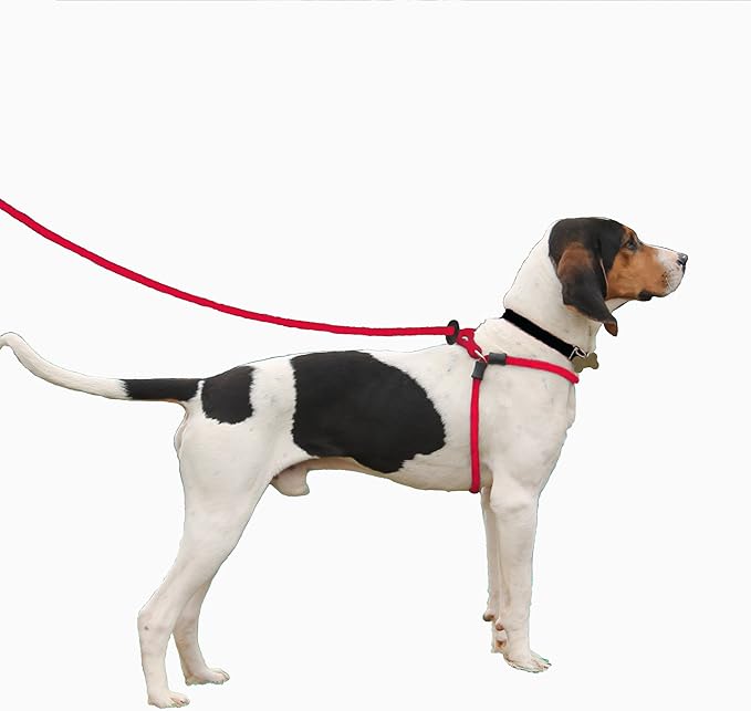 Harness Lead No Pull Dog Harness and Leash Set, Anti Pull Dog Harness for All Breeds and Sizes, One-Piece Cushioned Rope Design Safely Prevents Escaping and Pulling (Medium/Large, Pink)