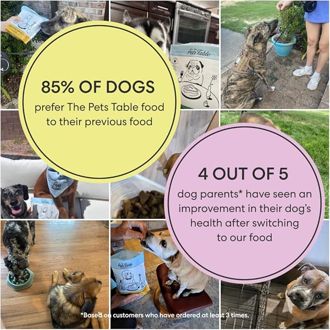 The Pets Table Air Dried Dog Food for Dogs Large, Medium and Small with Sensitive Stomachs | Puppy Dog Food, Adult Dog Food, Senior Dog Food | Lamb & Beef with Brown Rice 4.5 lbs / 72 oz Bag