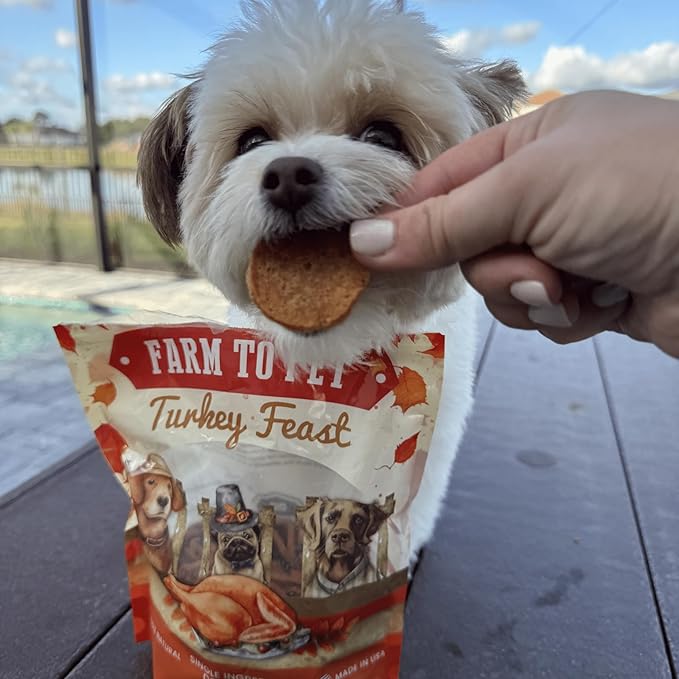 Farm To Pet Turkey Feast Chips Dog Training Treats - Turkey Chips, Single Ingredient, Lean, All Natural, Healthy Treats for Small, Medium, Large Dog Breeds, & Puppies, Made in USA
