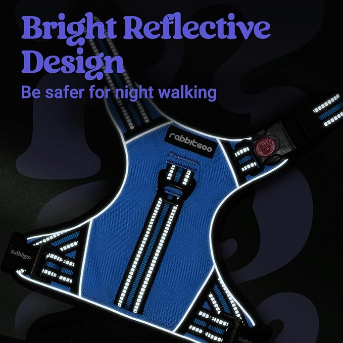 rabbitgoo Dog Harness Small Sized Dog, No Pull Pet Harness with Soft Padded Handle, Adjustable Reflective Vest with 3 Buckles, Easy Walking Harness with 2 Leash Clips, Light Blue, S