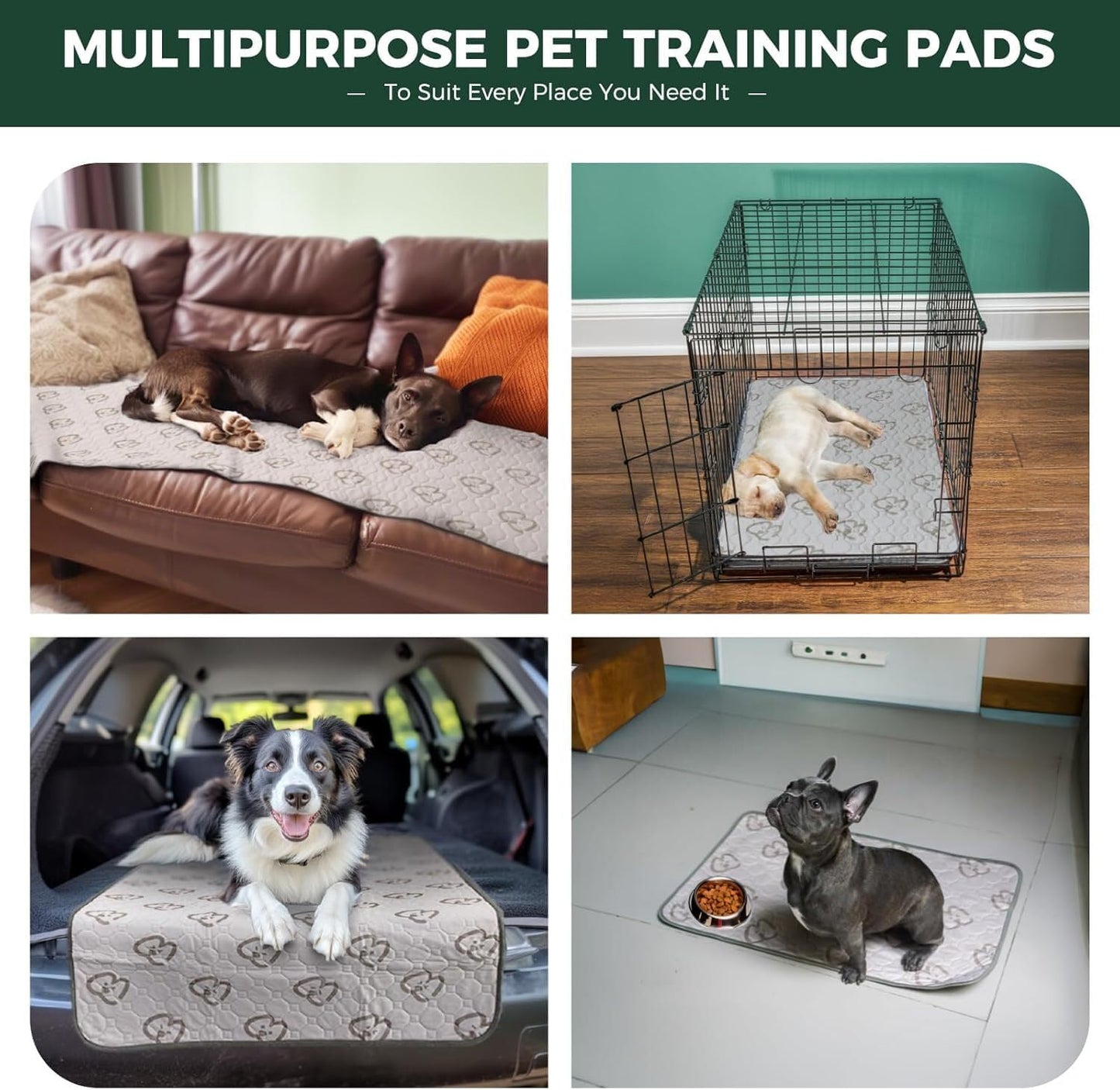 FXW Washable Pee Pads for Dogs, Puppy Pads with Super Absorbent, Specifically Designed for 42inch Cages, Rectangle, 41" x 27", 2 Packs