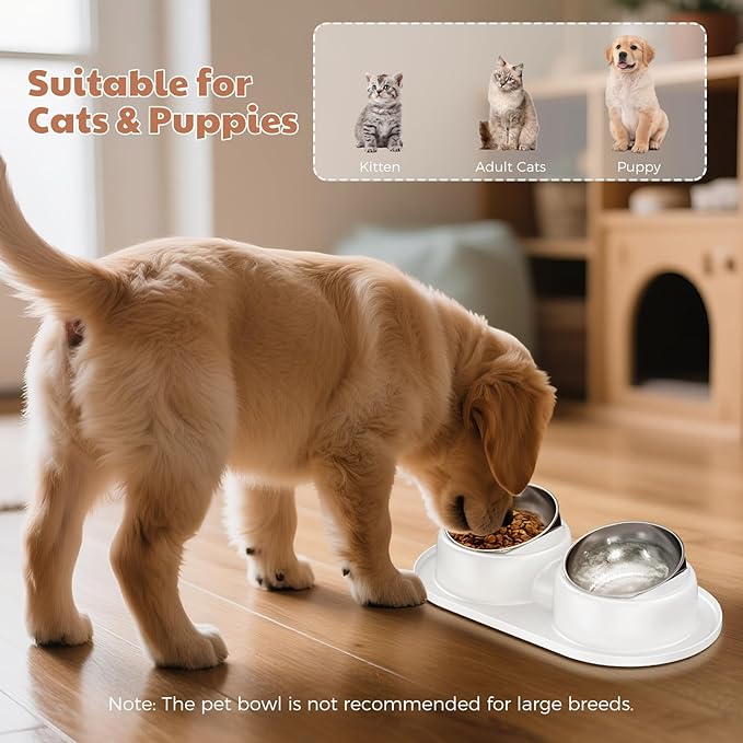 Tilted Elevated Cat Bowls, Dog Water and Food Bowl Set Anti Vomiting, Stainless Steel Pet Bowls with Base, Non-Slip Pet Feeder Bowls for Puppy Small Dogs Cats