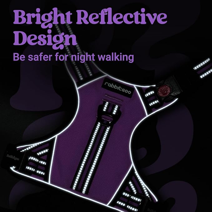 rabbitgoo Dog Harness for Large Dogs, No Pull Pet Harness with Soft Padded Handle, Adjustable Reflective Vest with 3 Buckles, Easy Walking Harness with 2 Leash Clips, Purple, M