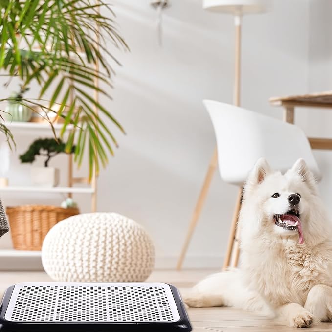 Mifoci 1 Pcs Dog Pee Pad Holder Potty Tray Portable Dog Litter Box Toilet Training for Indoor Outdoor Small Medium Large Pet Puppy