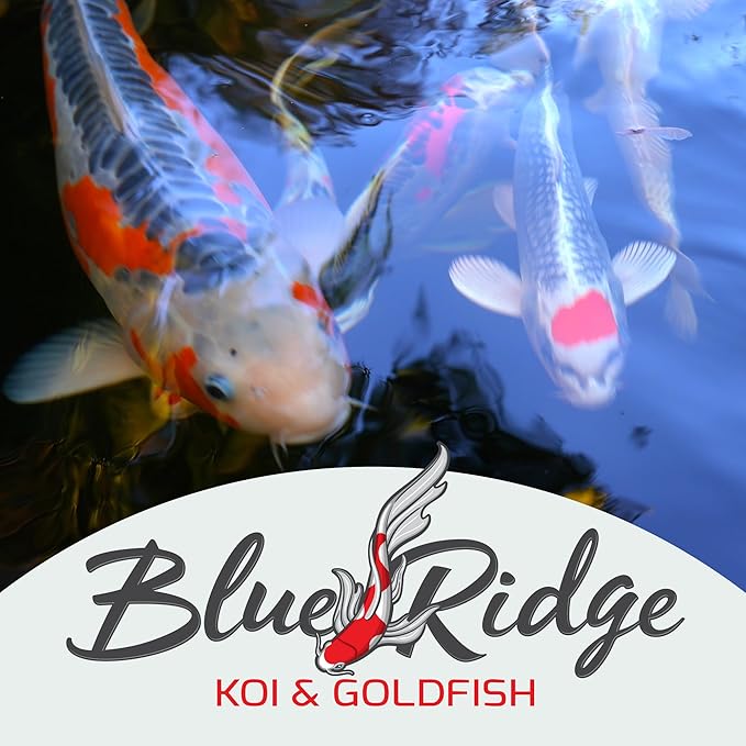 Blue Ridge Koi Fish Food 25lb - Koi Food Large 3/16" Growth Formula, Goldfish Food, Premium Fish Food for Ponds, Ponds Fish Food, Floating Pond Pellets