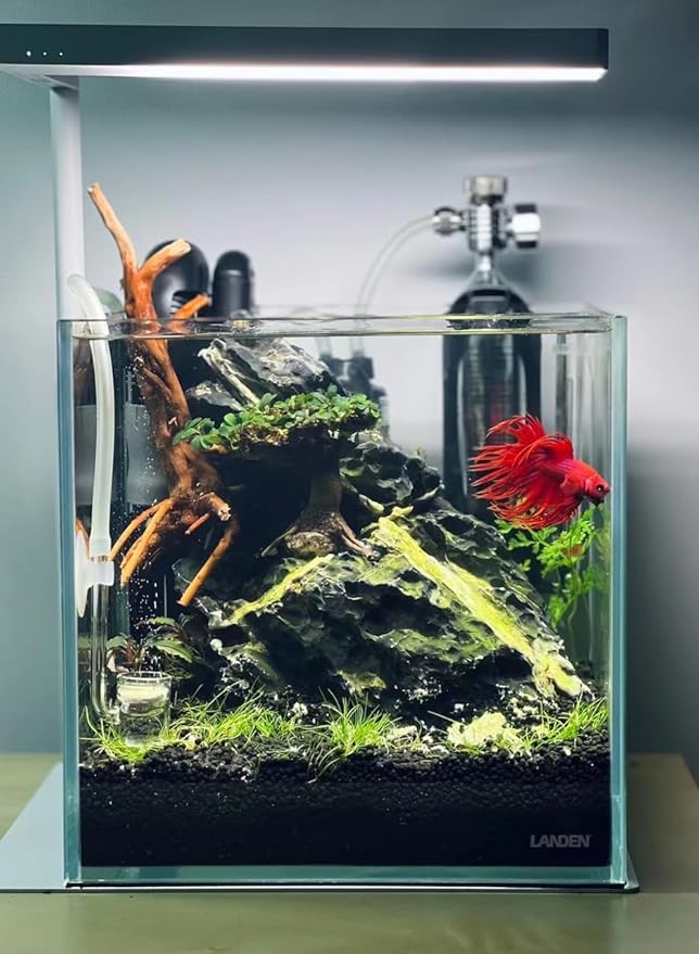 LANDEN Aqua Soil Substrate 5L(10lbs) for Natural Planted Aquarium, Plant or Shrimp Stratum, Clay Gravel and Stable Porous Substrate for Freshwater Aquarium, Black Color