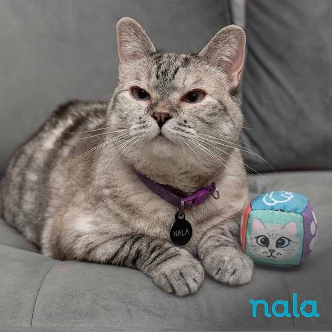 Caitec Presents Nala Cat Rolling Dice - Interactive Catnip Toy - Chase & Play, 4 Pack