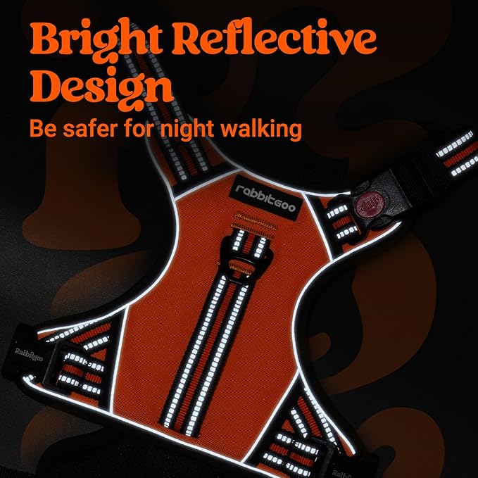 rabbitgoo Dog Harness for Large Dogs, No Pull Pet Harness with Soft Padded Handle, Adjustable Reflective Vest with 3 Buckles, Easy Walking Harness with 2 Leash Clips, Orange, M