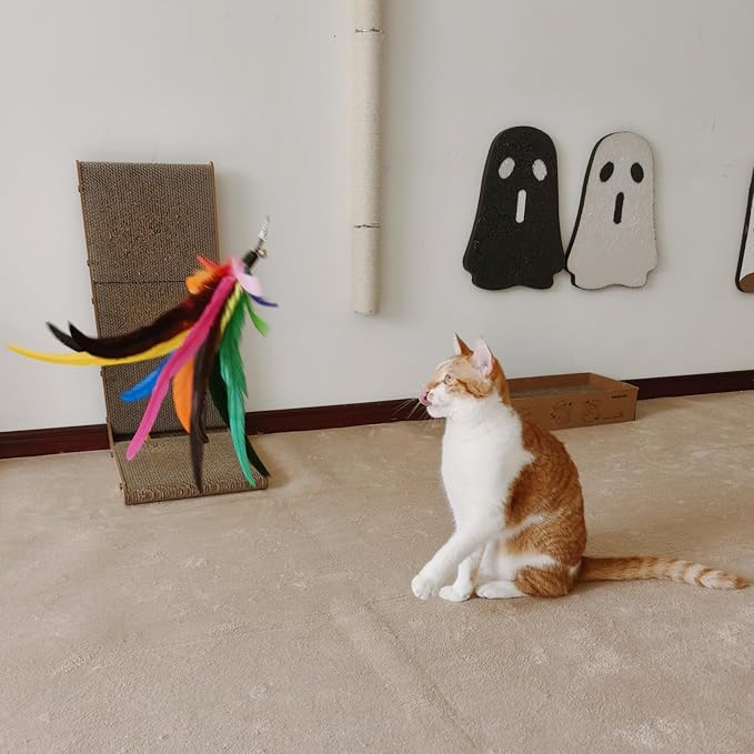 Da Bird Feather Refill - 2 Extra-Large Natural Replacement Attachments(13.8inch) and 4 Feather Toys Refills(5.8inch) for Indoor Cats,Cat Wand Attachment (6PCS)