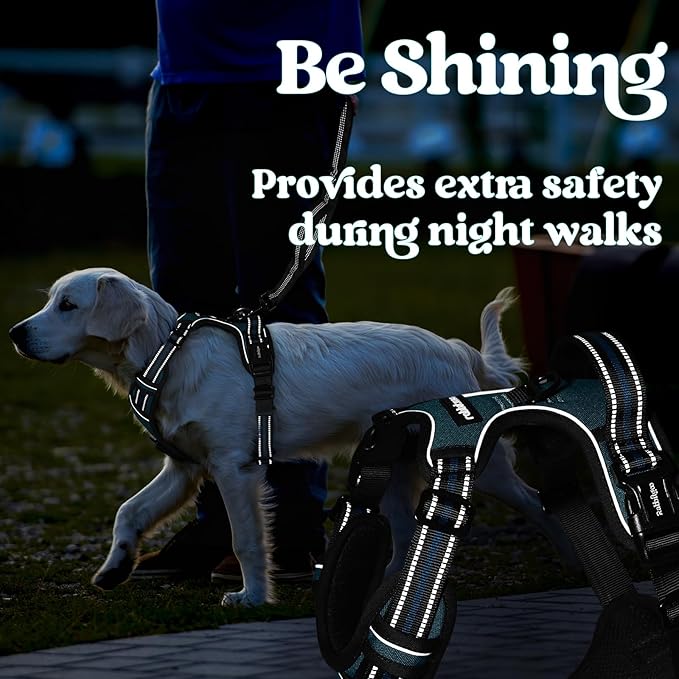 rabbitgoo Dog Harness for Large, No Pull Pet Harness with 3 Buckles, Adjustable Soft Padded Vest with Control Handle, Walking Reflective Pet Vest for Large Dogs, Blue Coral, L