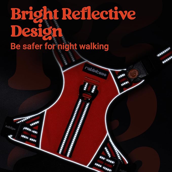 rabbitgoo Dog Harness Small Sized Dog, No Pull Pet Harness with Soft Padded Handle, Adjustable Reflective Vest with 3 Buckles, Easy Walking Harness with 2 Leash Clips, Red, S