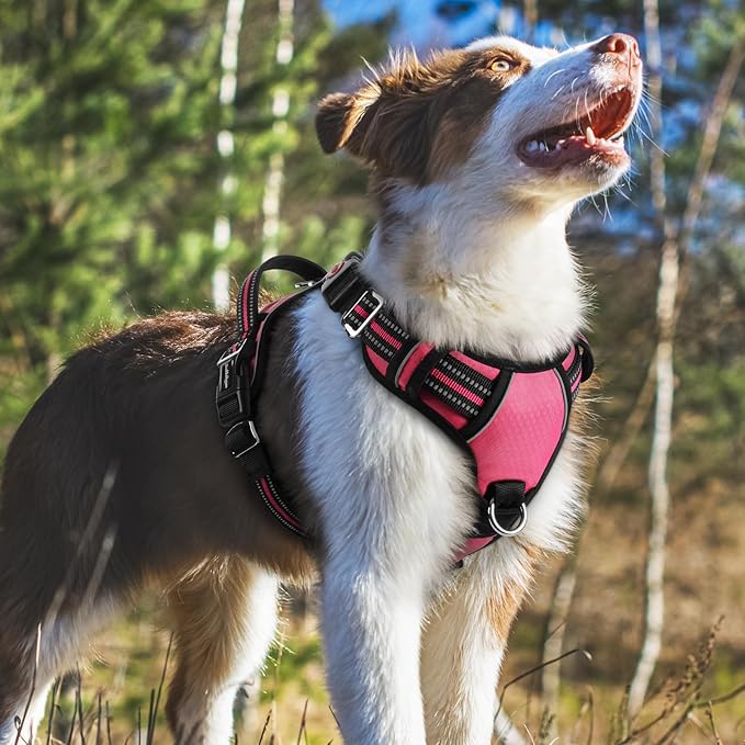rabbitgoo Dog Harness Medium Sized, No Pull Dog Vest with 3 Buckles, Adjustable Soft Padded Pet Harness with Easy Control Handle and Reflective Strips, Pink, M