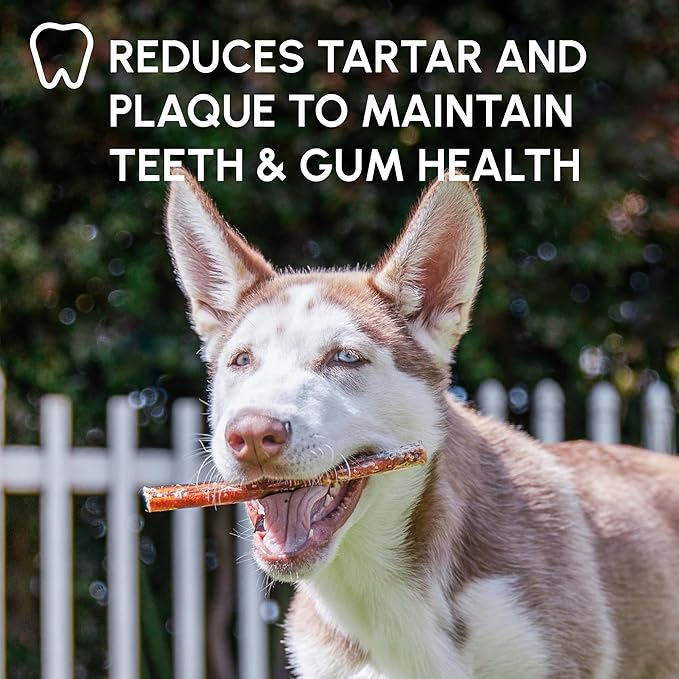 Downtown Pet Supply Bully Sticks for Dogs - Natural 6 Inch Beef Chews, Odor-Free & Rawhide-Free, Long Lasting Dog Treats for Aggressive Chewers - Healthy, Safe & Delicious Chews Dogs Love (30 Pack)