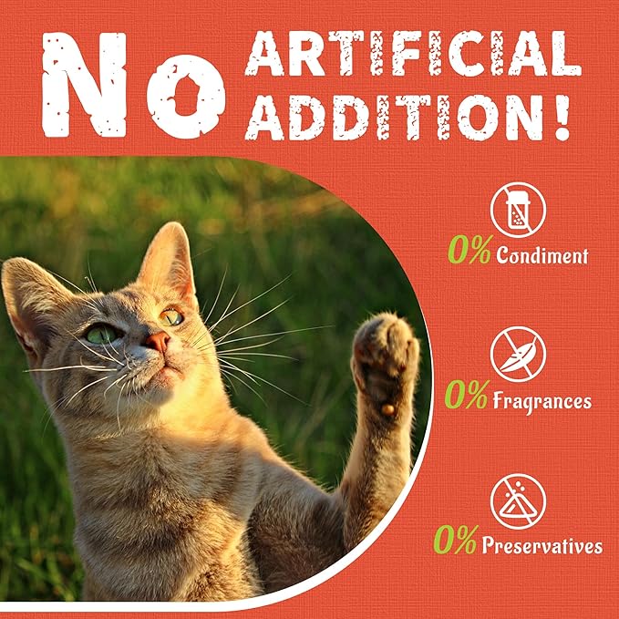Just Try 16 OZ Carrot Cat Treats for Indoor Cats, Vitamin-Rich Natural Chicken Flavor Healthy Cat Snacks Training Biscuits Eye Health & Skin Support for Cats
