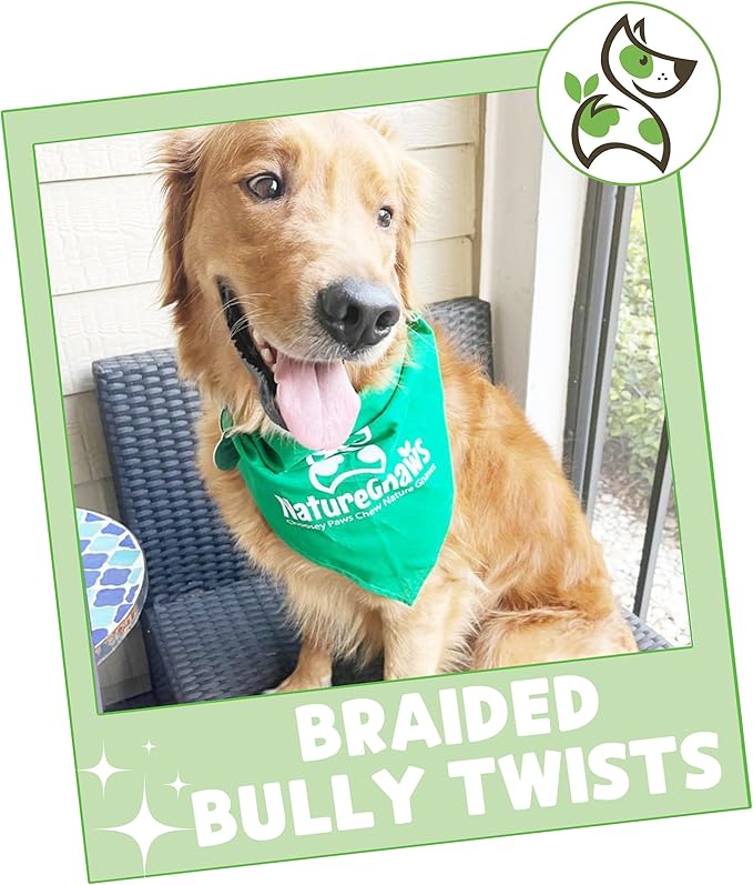 Nature Gnaws Braided Bully Twists for Dogs 5-6" (10 Count) - Long Lasting for Small and Medium Dogs - Natural Beef Dog Chew Bones