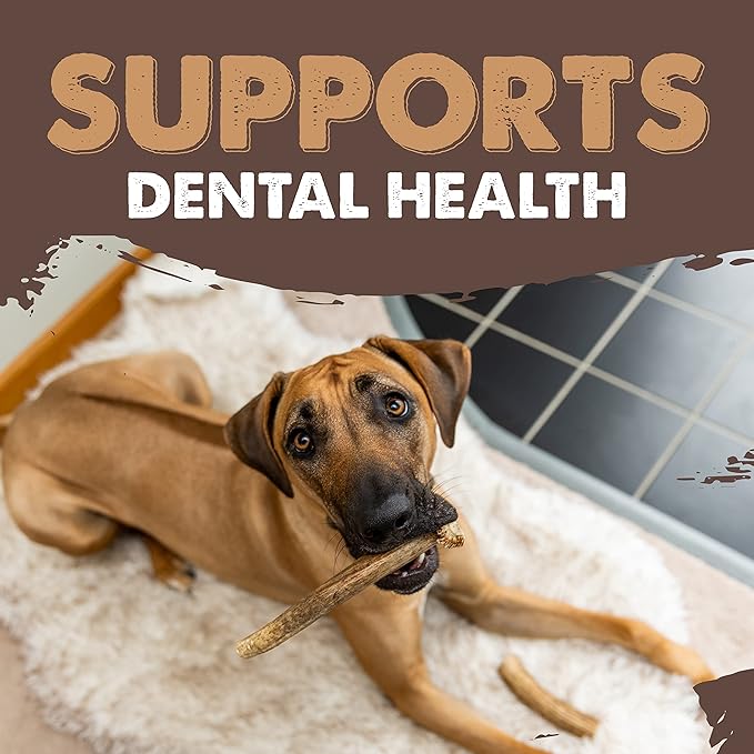 Mighty Paw Split Elk Antlers for Dogs (Sourced in The USA) | 1 Whole Medium 6"+ Long Lasting Bones for Aggressive Chewers - Naturally Shed Split Deer Antler for Dogs - Low Odor Chews (Pack of 1)