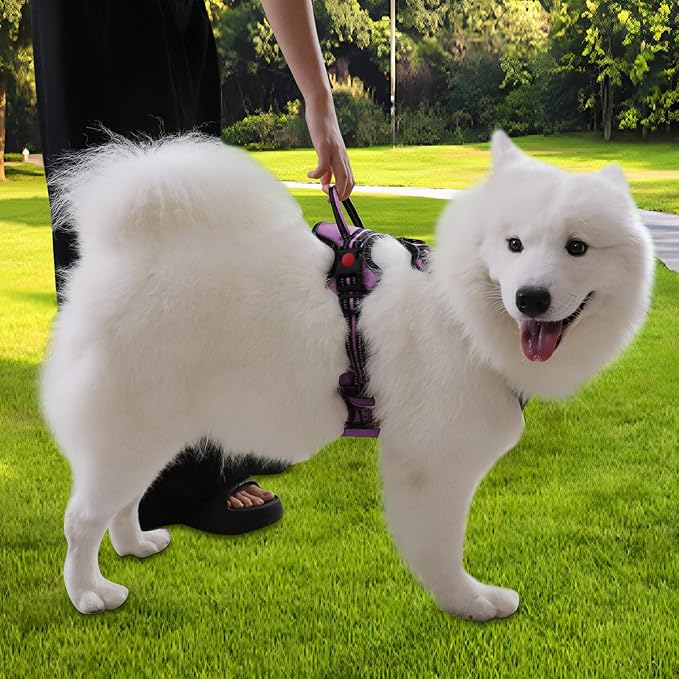 Dog Harness, Adjustable Reflective Dog Vest No Pull Dog Harness with Badge and Bow Tie for Puppy Small Medium Large Dogs