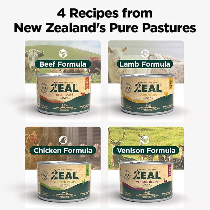 ZEAL New Zealand Wet Cat Food – High Protein, Grain-Free with Superfoods (Beef, 6oz Can, 12-Pack)