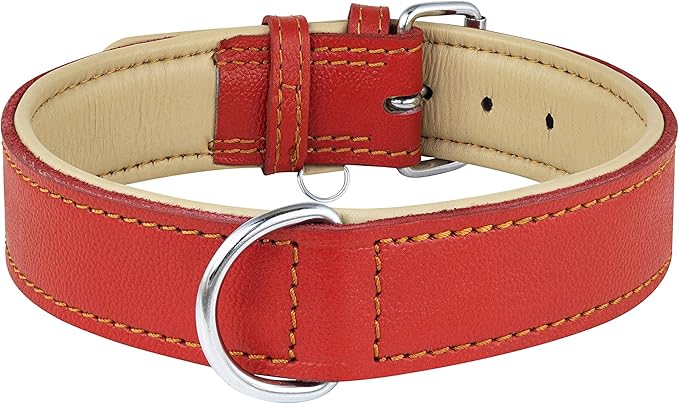 Riparo Red Dog Collar, Dog Collars for Medium Dogs, Leather Dog Collar for Medium Dogs (M: 1" Wide for 13.5β-17.5β Neck, Red)