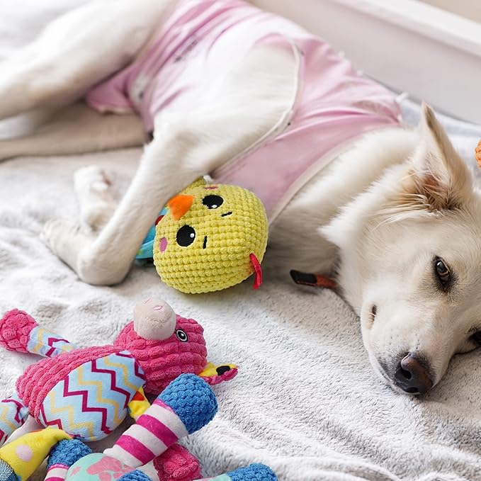 Nocciola Stuffed Crinkle Squeaky Dog Toys: 5 Pack Cute Animal Plush Toys for Small Medium Size Dogs, Durable Puppy Chew Toys for Boredom and Calming Aid, for Dogs